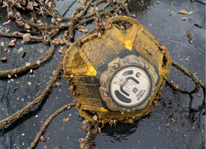 Close-up of a recovered Spotter buoy showing marine growth after 365 days deployed offshore