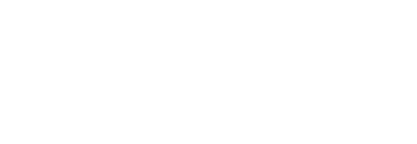 Veteran Employment Supporter logo