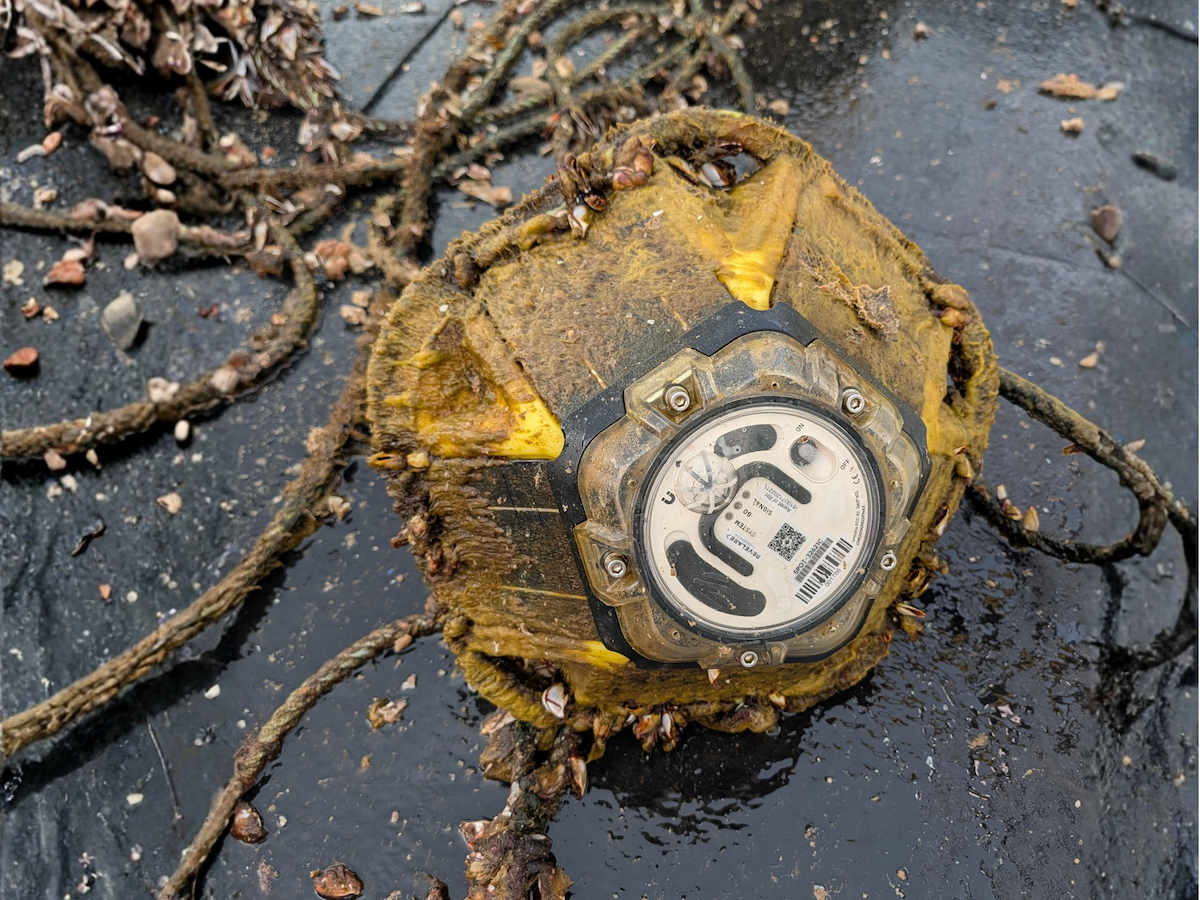 Close-up of a recovered Spotter buoy showing marine growth after 365 days deployed offshore