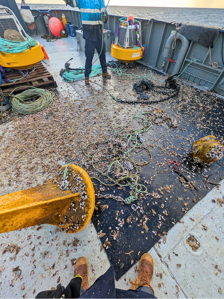 Recovered Spotter buoys, anchors and mooring equipment on the deck of a survey vessel